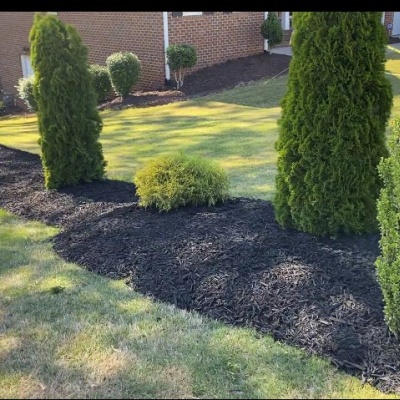 mulch1